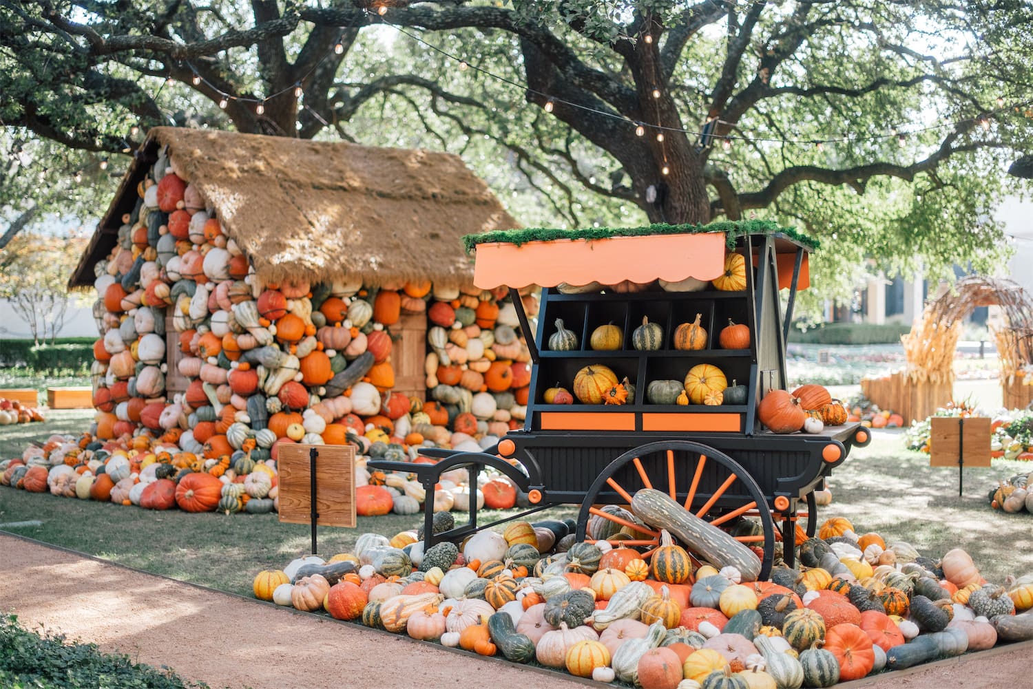 NorthPark Center is hosting its third annual Pumpkin Patch benefiting Community Partners of Dallas this fall. (Courtesy)