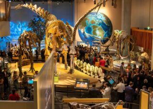 Night at the Museum