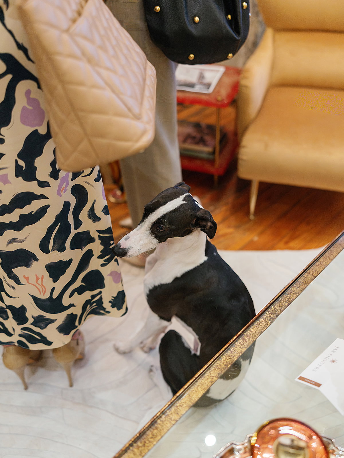 A member of Jan's four-legged fan club (Photo by Victoria Greig)