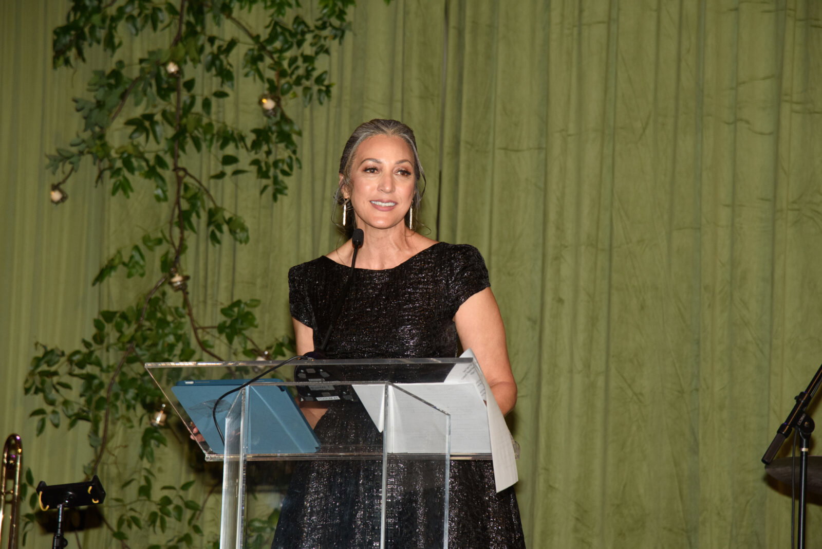 Children's Museum Houston CEO Rayanne Darensbourg  at Children's Museum Houston gala (Photo by Alexander's Fine Portrait Design)