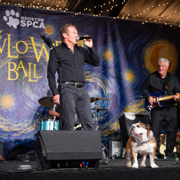Dennis Quaid Performance (Photo by Wilson Parish)