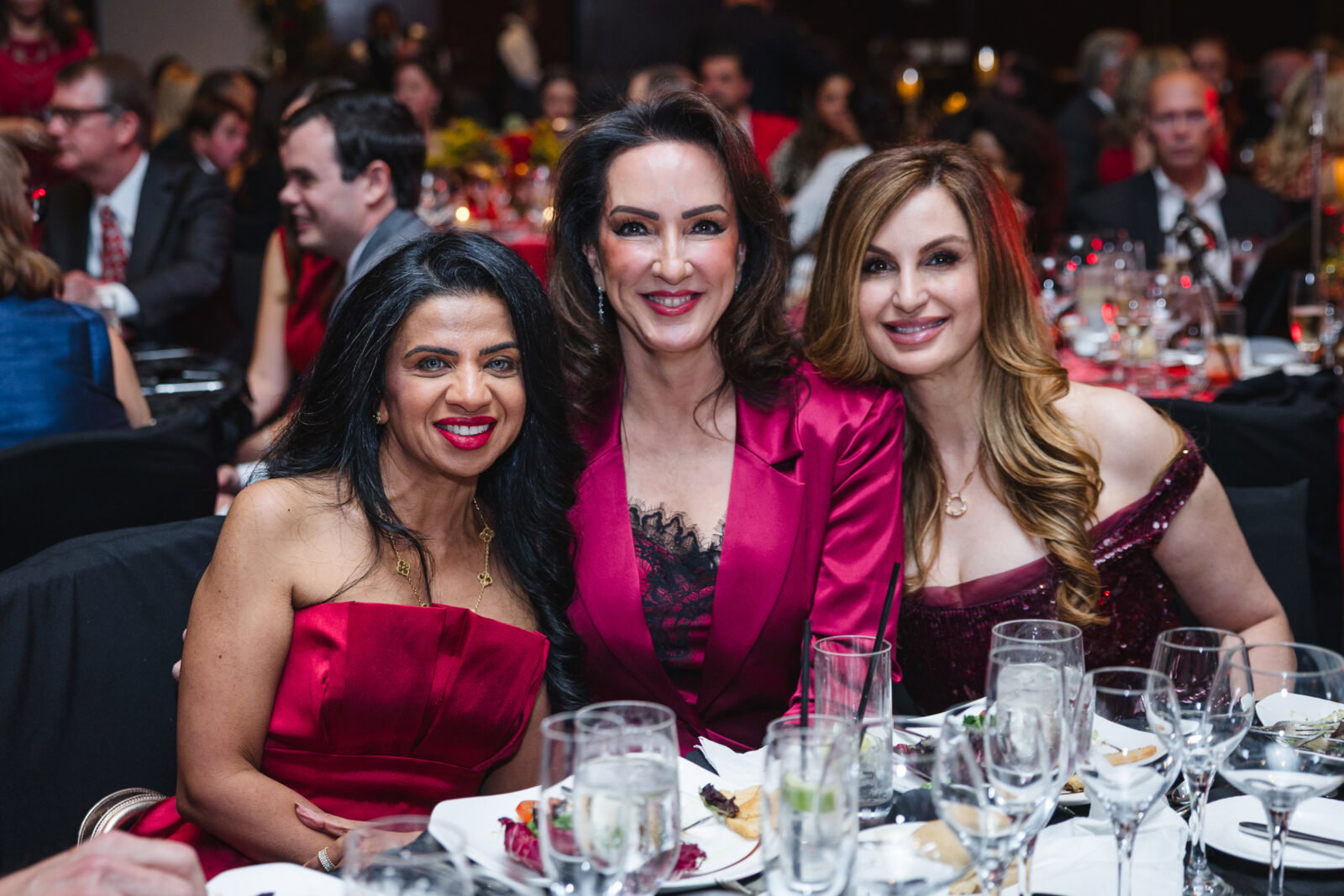 Farida Abjani, Alicia Smith, Brigitte Kalai at the Red Hot Gala (Photo by Johnny Than)